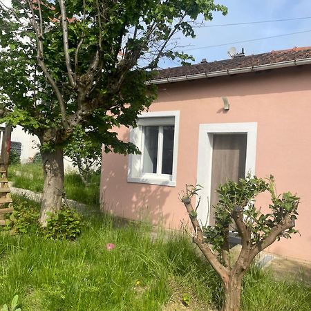 Charmante Maison Avec Jardin Aux Portes De Paris Vitry-sur-Seine Exteriör bild